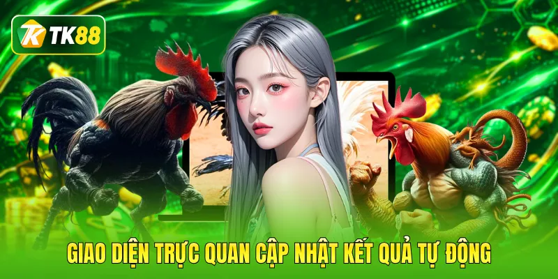 Giao diện trực quan cập nhật kết quả tự động