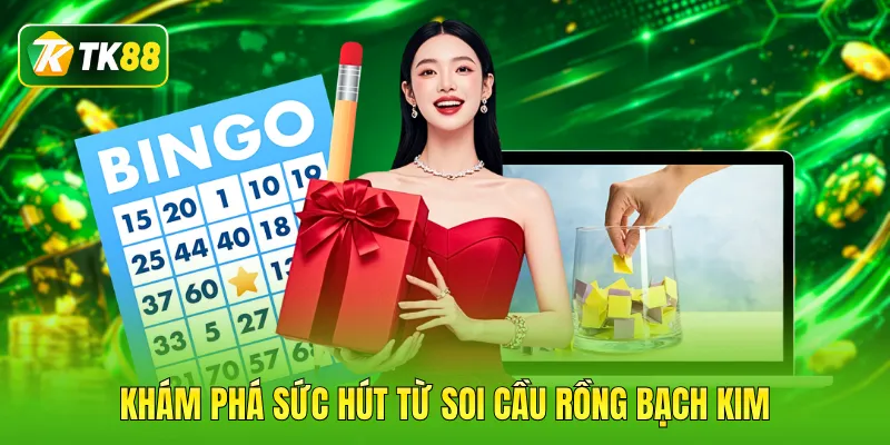 Khám phá sức hút từ soi cầu rồng bạch kim