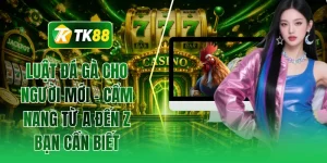 Luật đá gà cho người mới - Cẩm nang từ A đến Z bạn cần biết